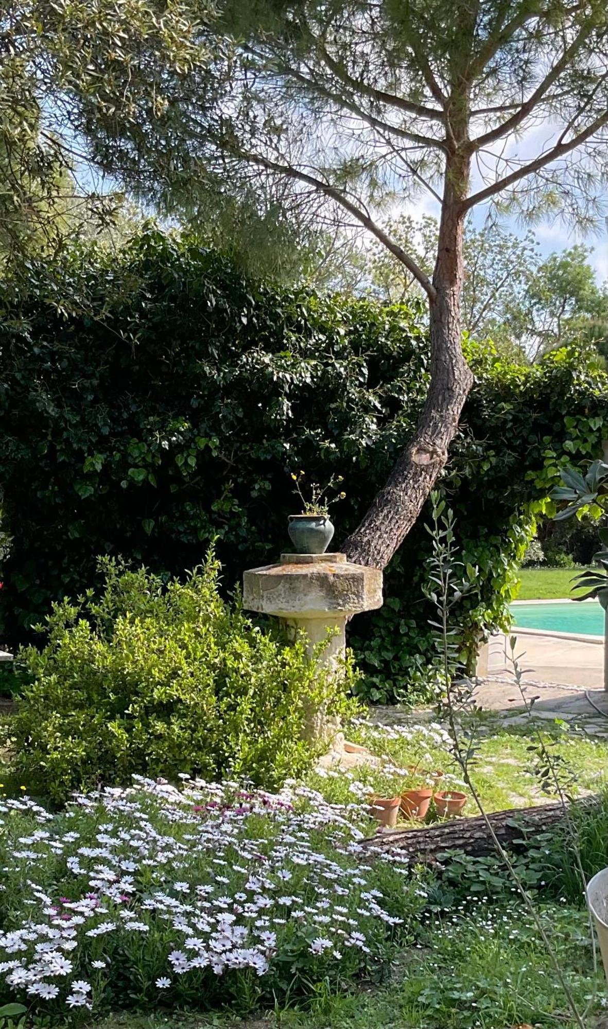 Le Jardin De Lacoste Narbonne Exterior photo